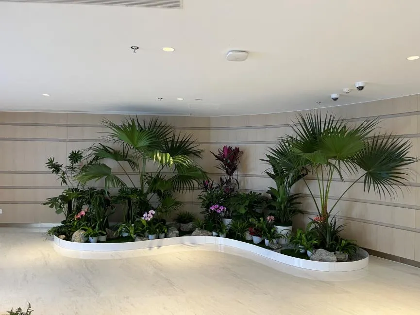 宁波海曙盆景租赁，解锁打造独特景观的新方式